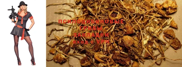 MDMA Покровск