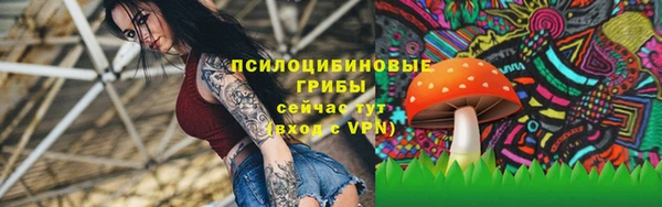 синтетический гашиш Алексеевка